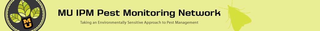 Pest Monitoring