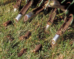 areation soil plugs