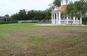 Chinch Bug damage on zoysia