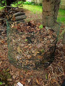 composting leaves