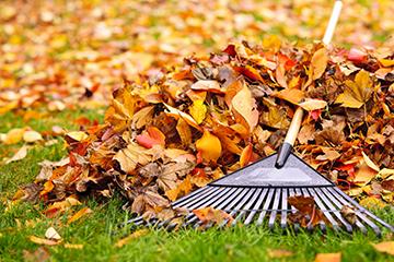 raking leaves