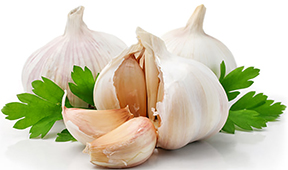 garlic clove