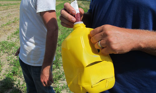 lure being inserted through the mouth of a yellow-painted milk jug