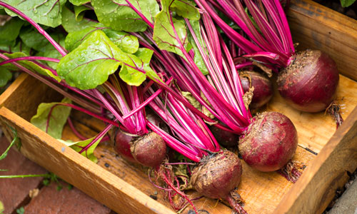 beets