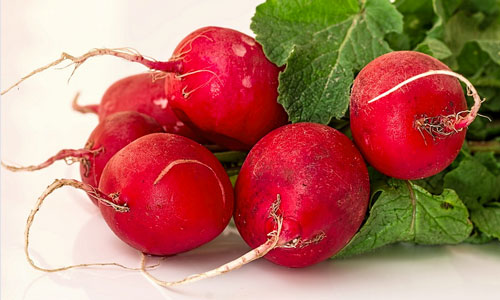 radishes