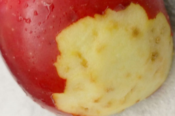 Red Spots On Apple's