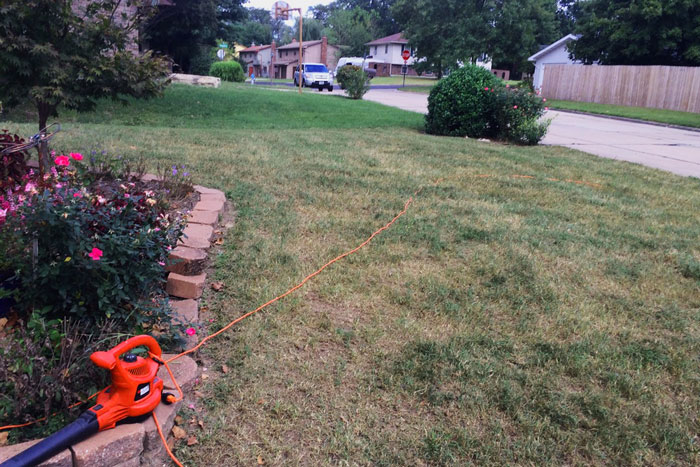 lawn after removing debris from power raking. orange blower in foreground