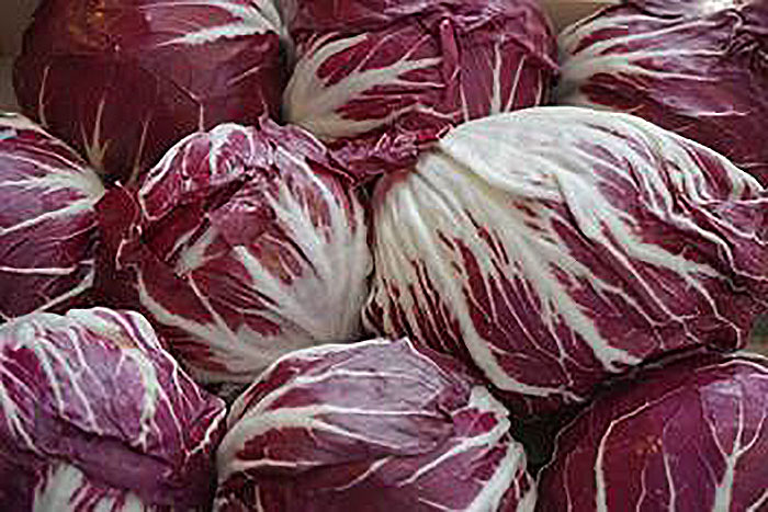 purple and white cabbage like vegetable