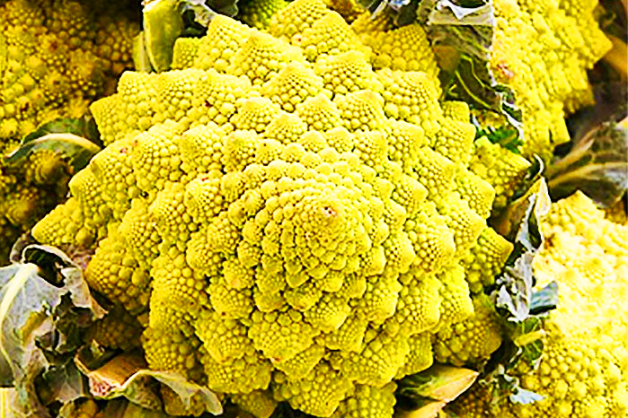 yellow bumpy vegetable with a spiralling star pattern