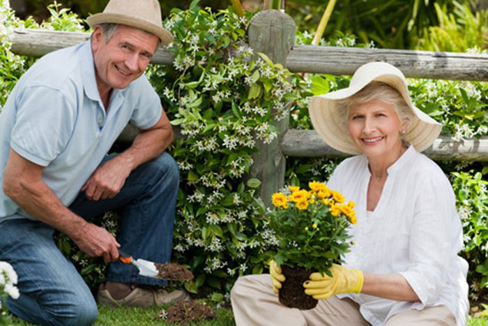 elderly man and woman posing in front of a bush and yellow flowers