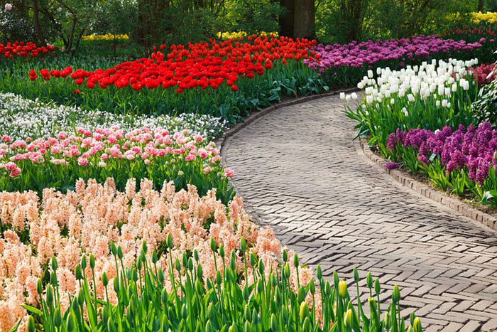garden with multiple colored flowers with a stone path winding through the middle