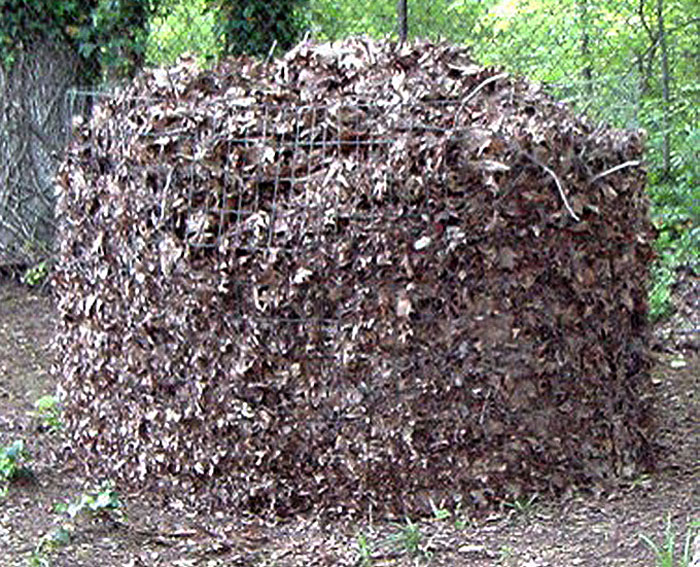 wire bin full of leaves