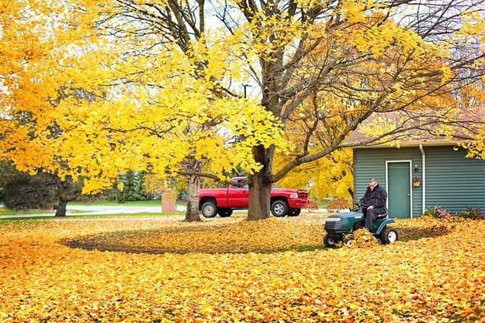 man on mower mowing leaves