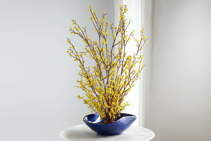 branches with yellow flowers arranged in a vase