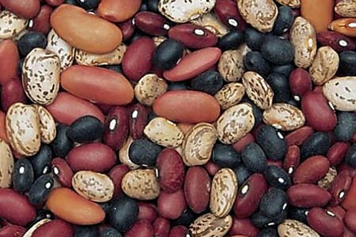 mutlti-colored dry beans