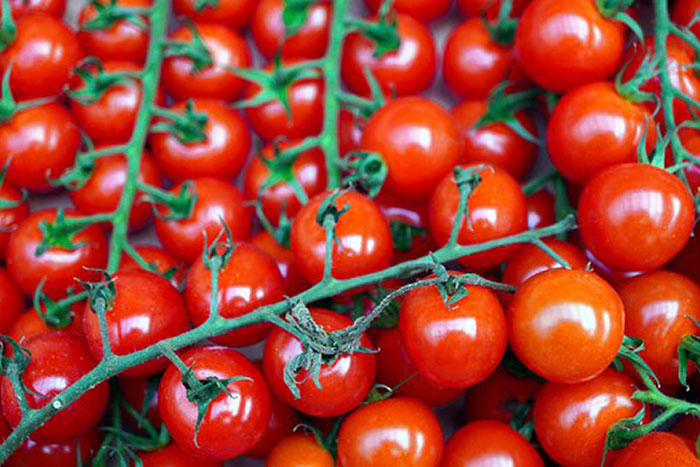 cherry tomatoes on vines