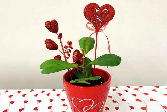 arrangement with green heart shaped leaves and red heart ornamental decorations in a red pot
