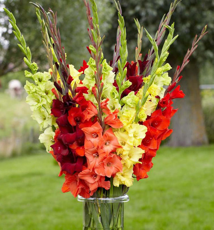 vase with muticolored flowers