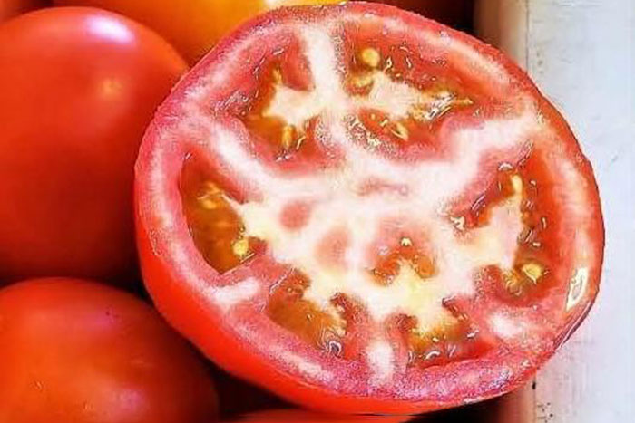 cross section of red tomato with white flesh