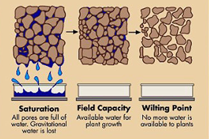 Illustration of soil field capacity and permanent wilting point