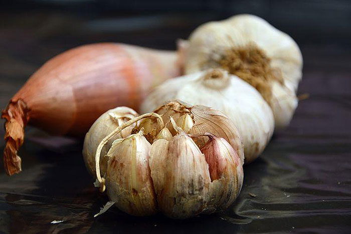 cloves and bulb of garlic