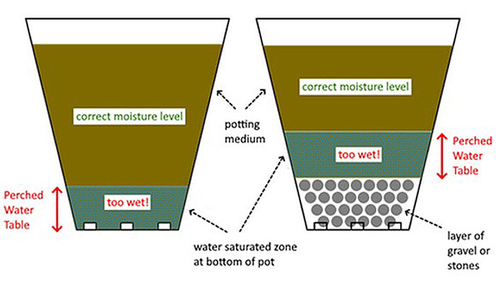 diagram of 2 different drainage scenarios in pots