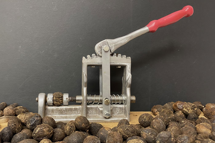 nut cracker with dark shelled nuts in foreground