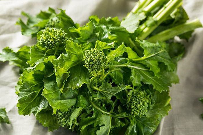 leafy broccoli heads