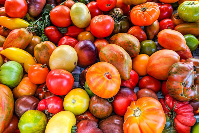 mutli-colored tomatoes