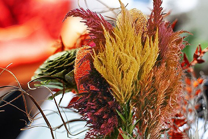 assortment of dried flowers