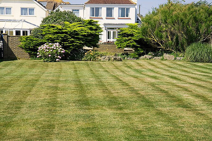 house with yellowing lawn