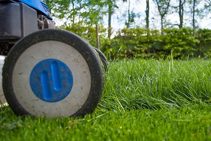 lawnmower wheel on grass