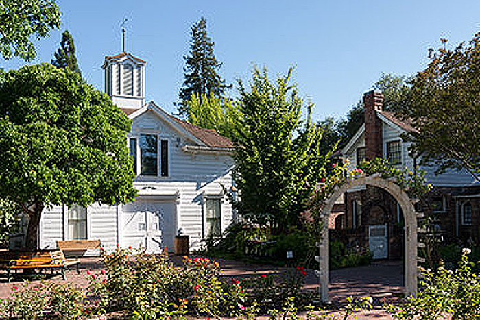 house with lots of foliage in front yard