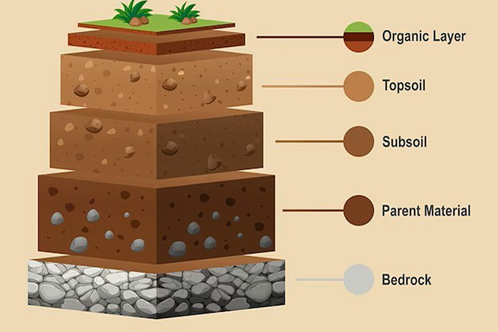 side by side of coarse soil on left and fine soil on right