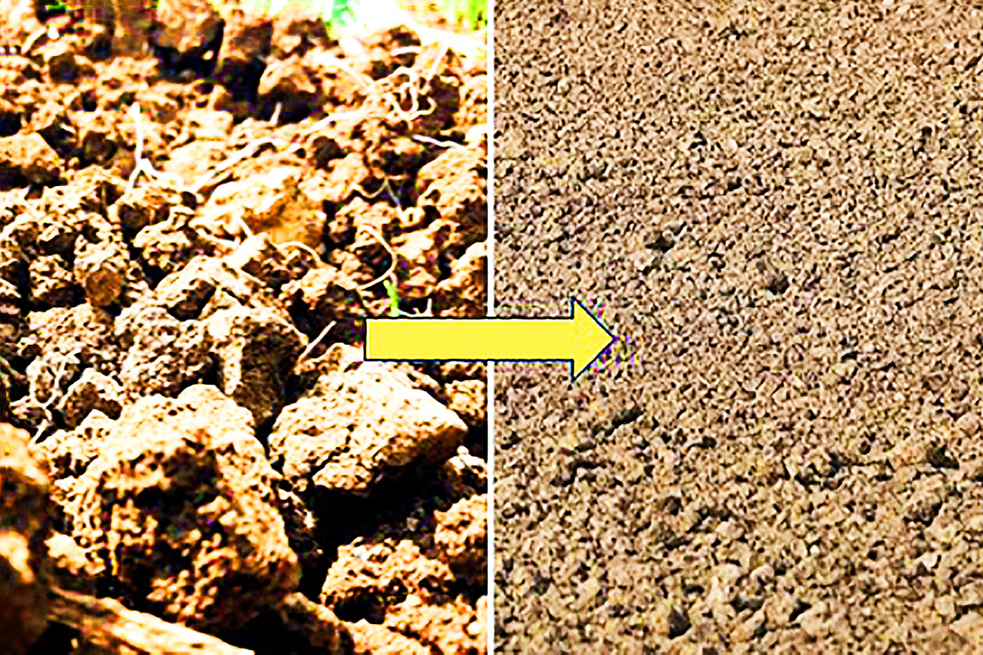 side by side of coarse soil on left and fine soil on right