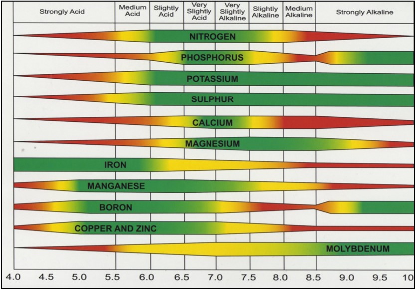 Ph And Nutrient Uptake Charts