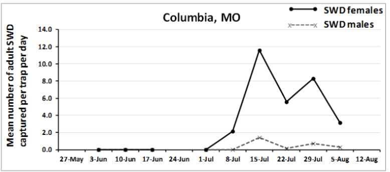 chart of Spotted Wing Drosophila captures in Columbia, MO between May and August 2014