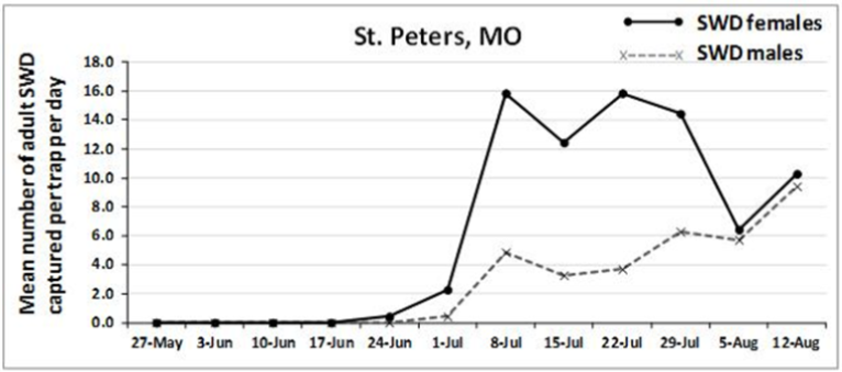 chart of Spotted Wing Drosophila captures in St. Peters, MO between May and August 2014