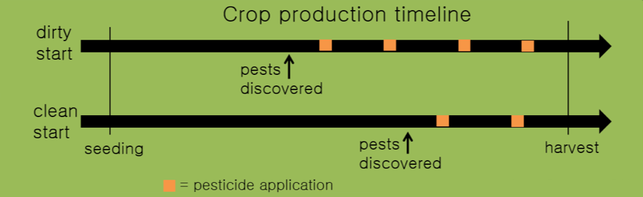 Dirty starts have early pest occurrance requiring 4 pesticide treatments before harvest. Clean starts have later pest occurrance which requires 2 pesticide applications before harvest.