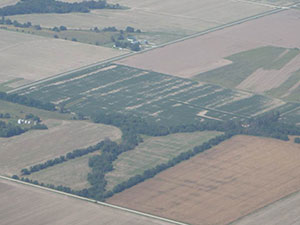Missouri cornfields