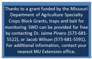 Text Box: Thanks to a grant funded by the Missouri Department of Agriculture Specialty Crops Block Grants, traps and bait for monitoring SWD can be provided for free by contacting Dr. Jaime Pinero (573-681-5522), or Jacob Wilson (573-681-5591). For additional information, contact your nearest MU Extension office.