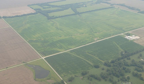 arial view of nitrogen loss in field