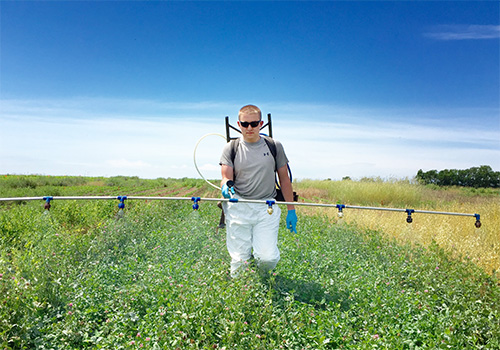 person spraying herbicide on cover crops