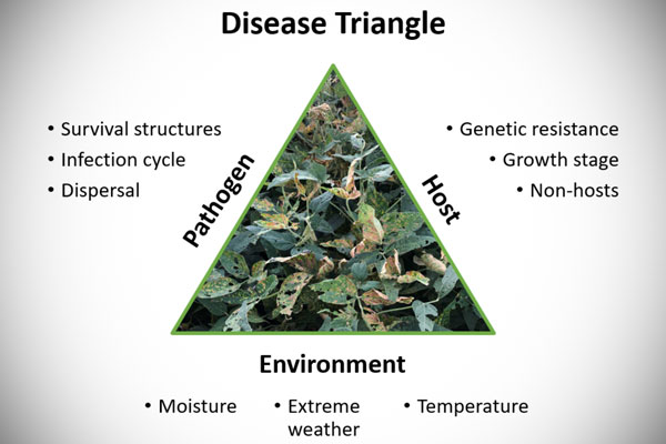 Disease Triangle In Plant Pathology Pdf