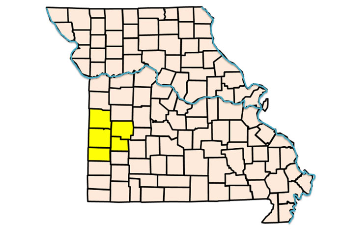 map of missouri counties with a group of five highlighted in yellow in the lower left
