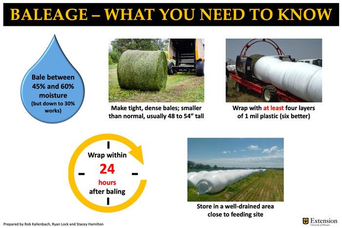 Online Hay Production 101 short course is back by popular demand in 2023 -  Forages