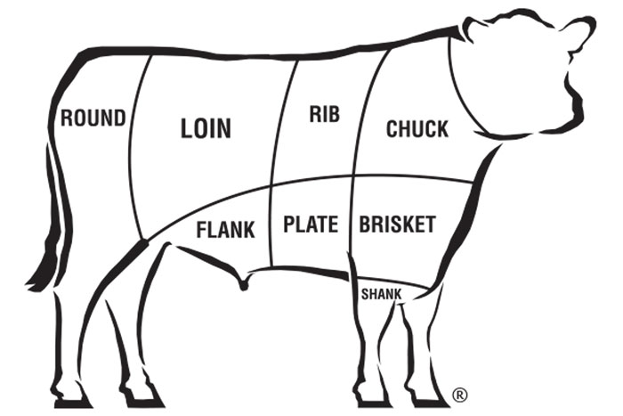 diagram of setcions of a beef cow