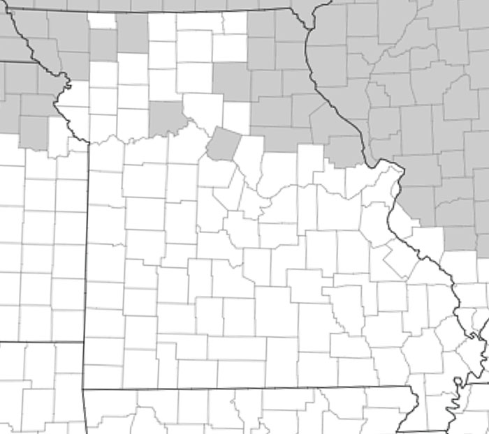 map of Missouri Counties with some northern counties colored grey