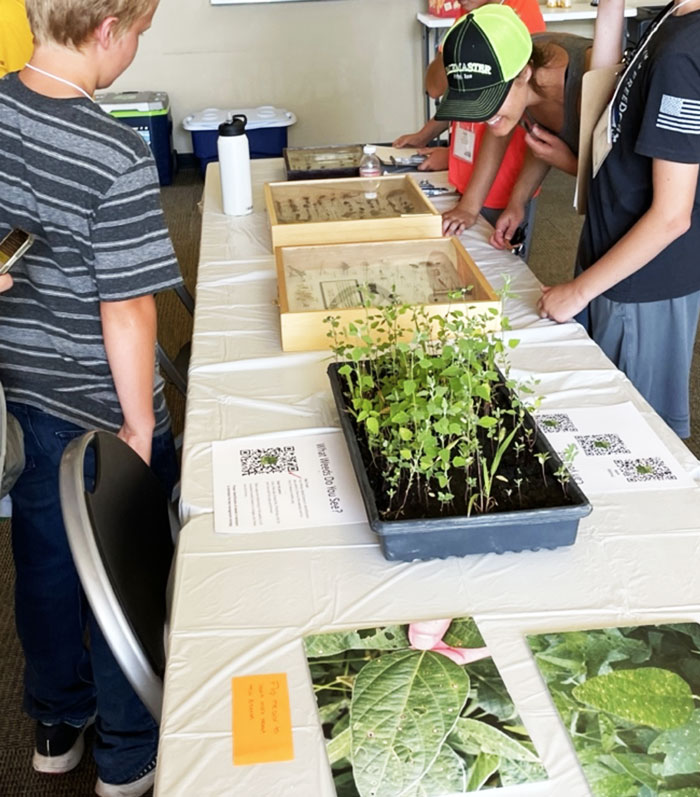 people surrounding a display table with small plants and visual aides