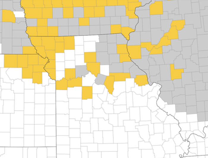 map of Missouri counties with the northern countes colored with gold and grey